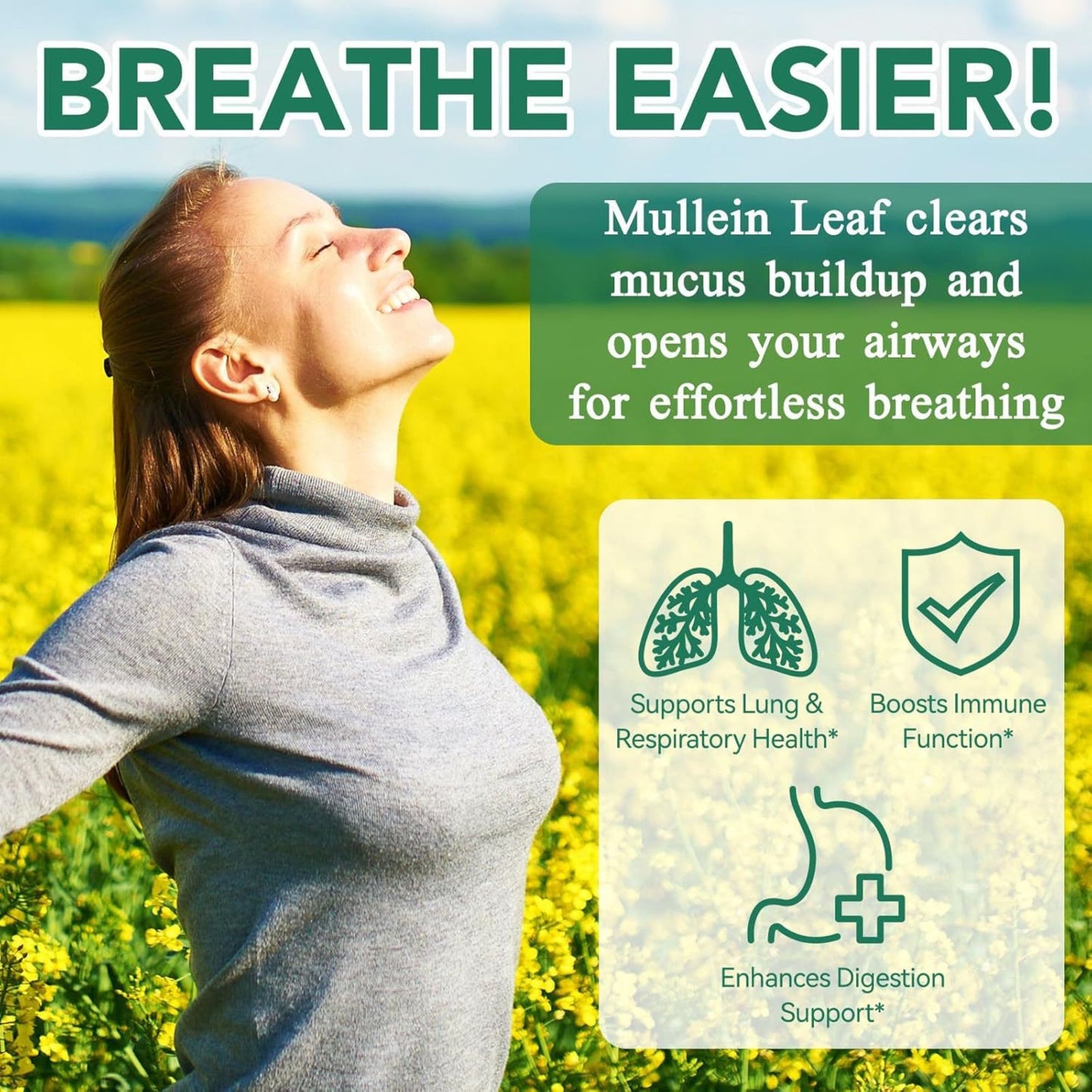 Mullein Gummies: Lung Detox