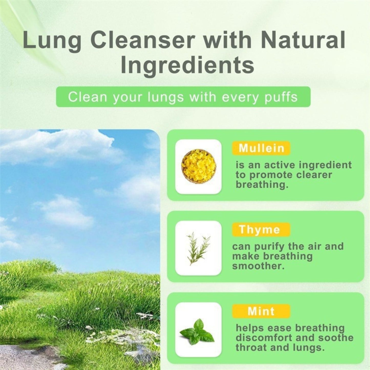 CraveBud™ Herbal Diffuser Lung Cleanse