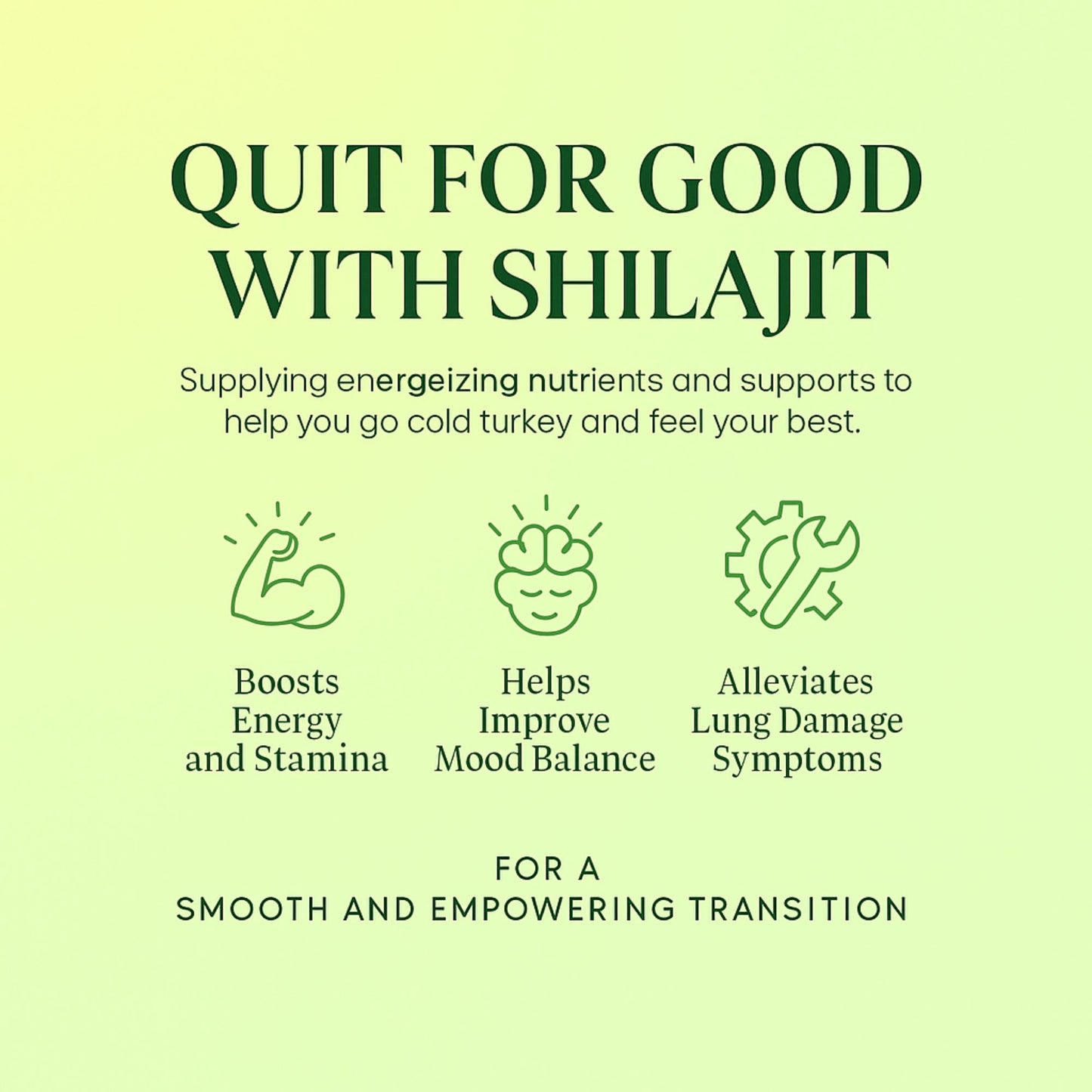 Himalayan Shilajit Liquid Drops