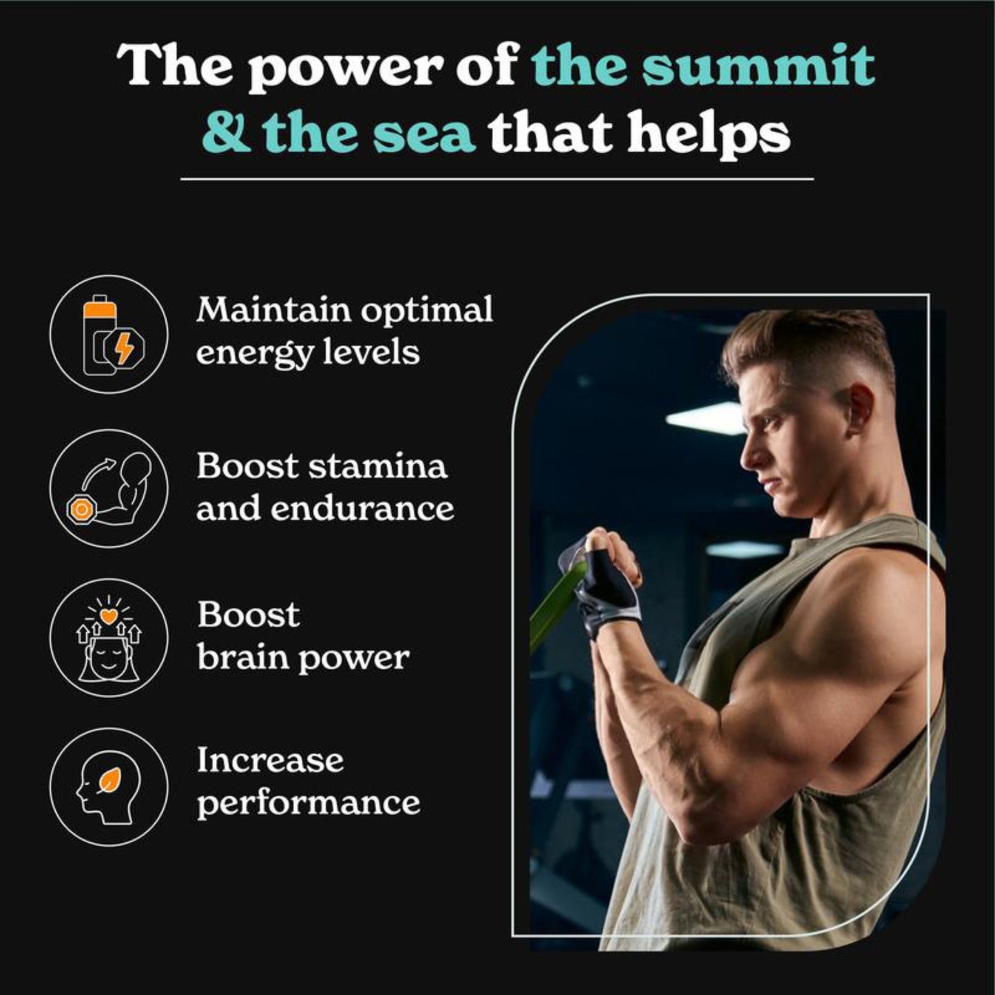 Shilajit Focus Energy Booster