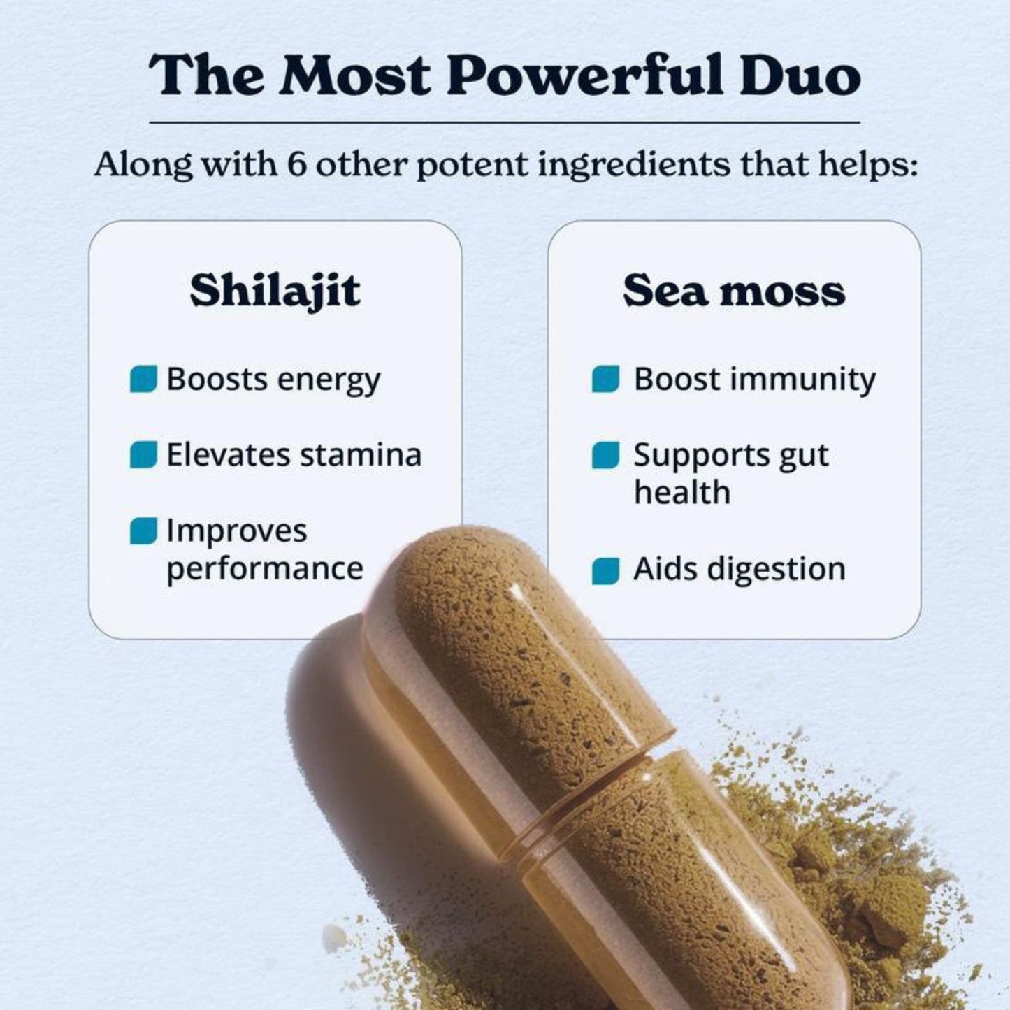 Shilajit Focus Energy Booster