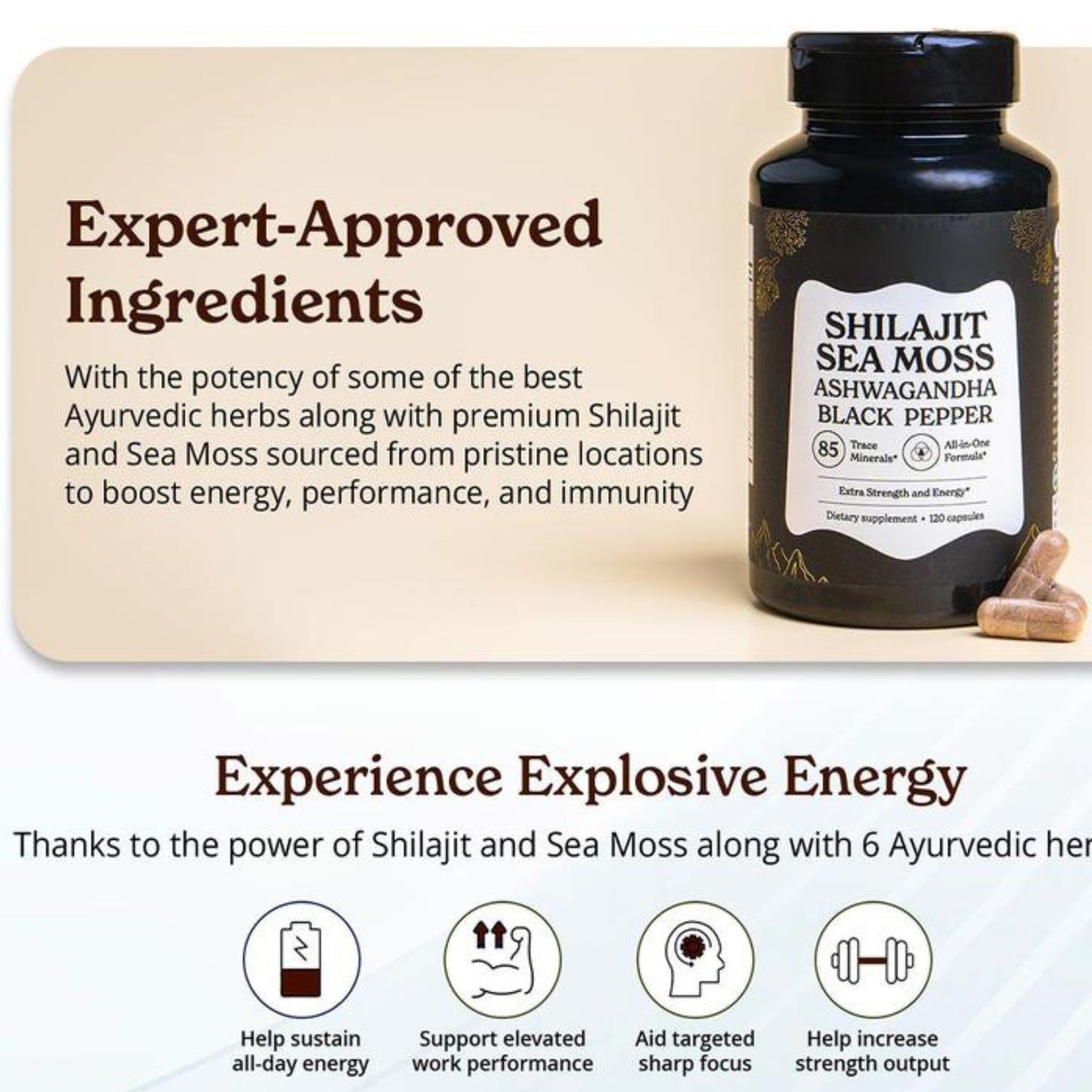 Shilajit Focus Energy Booster