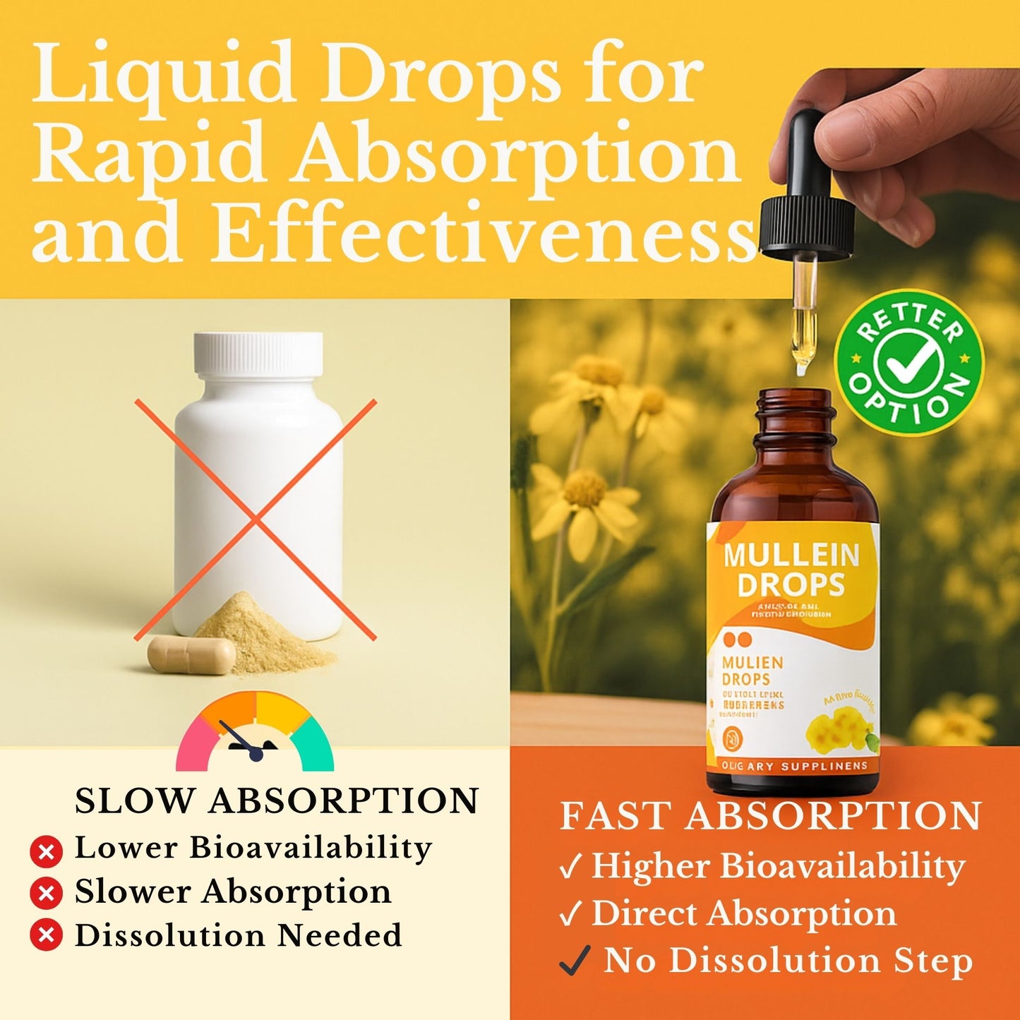 Natural Daily Lung Support