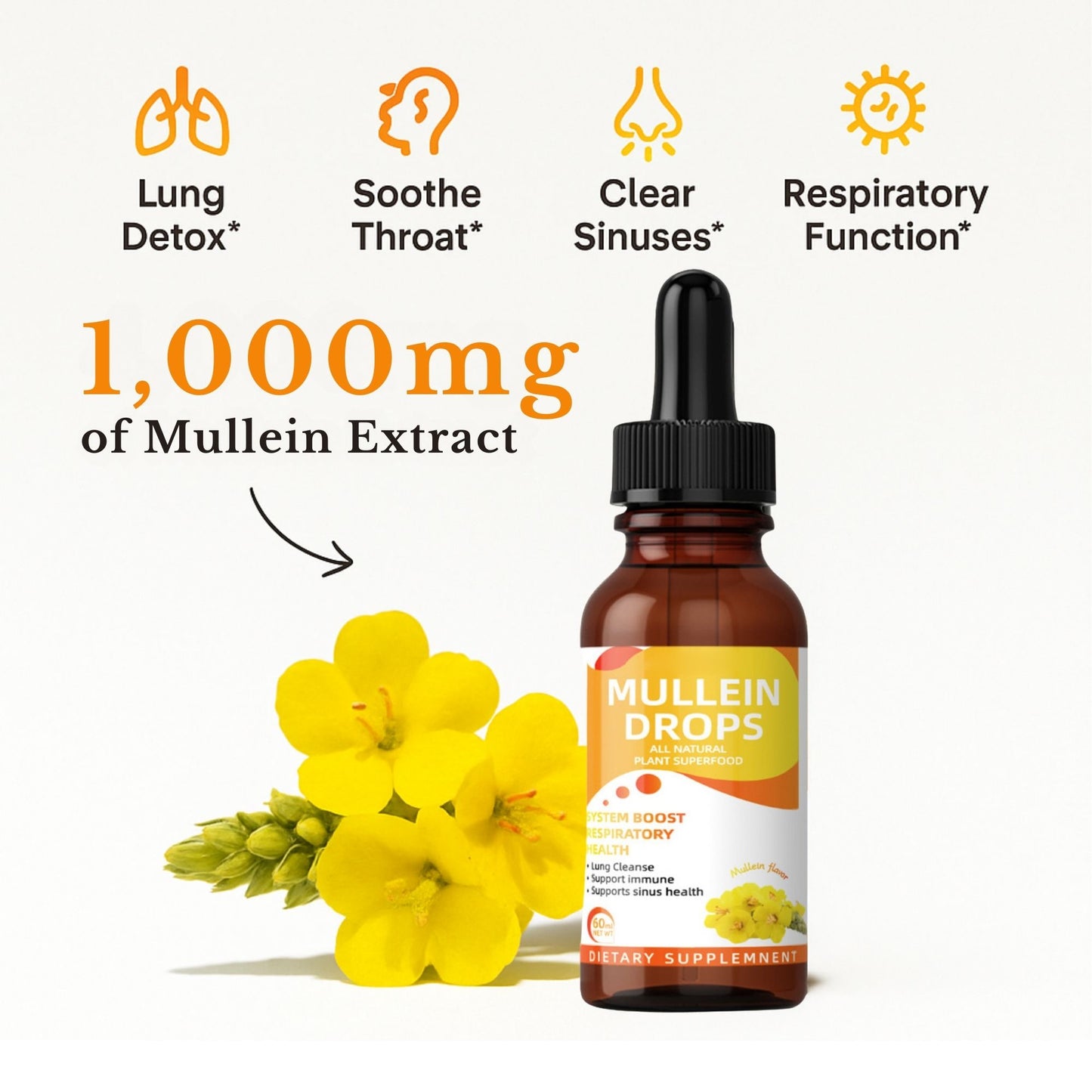 Natural Daily Lung Support