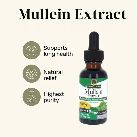 Mullein Extract Liquid Drops: Lung Cleanse (2000mg)