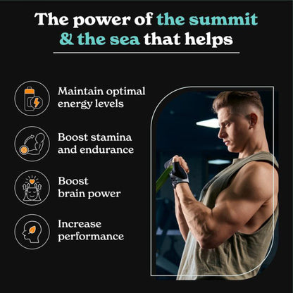 Shilajit Focus Energy Booster