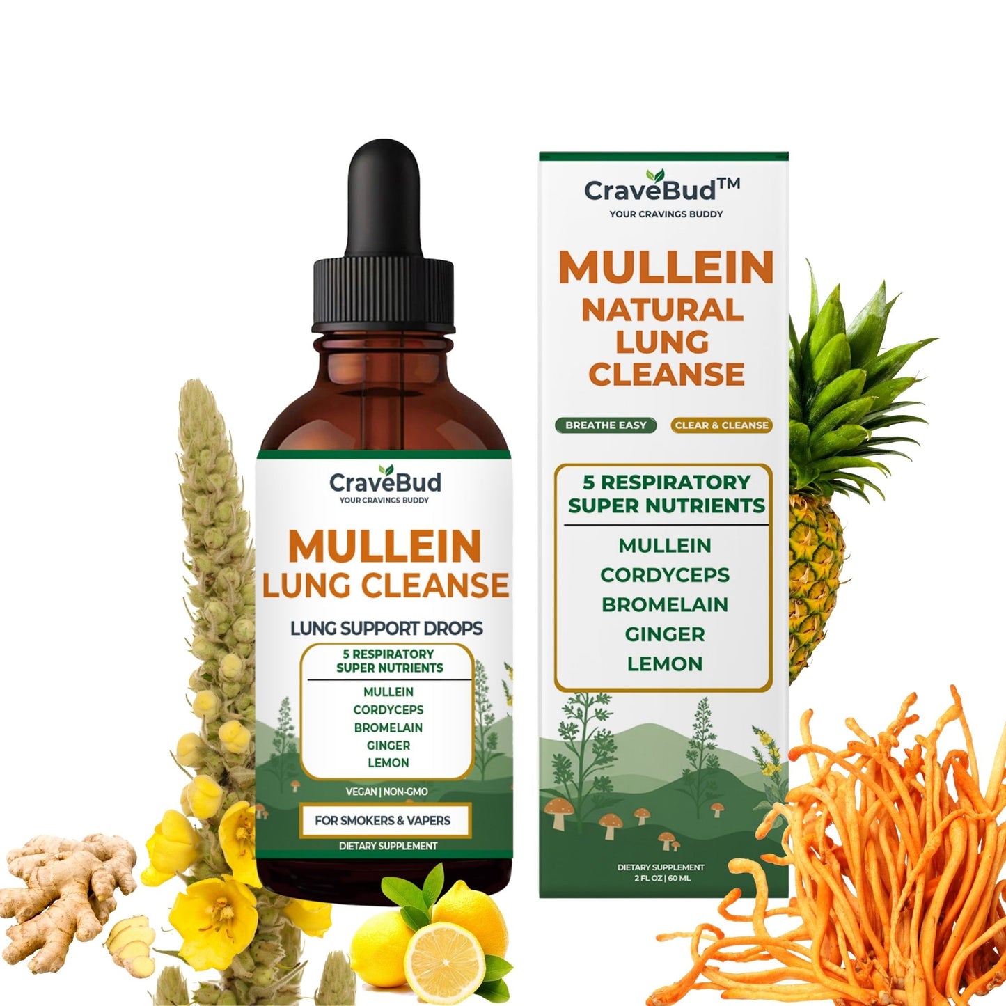 Natural Daily Lung Support Mullein Drops - Formulated For Smokers