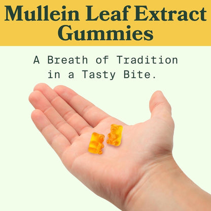 Mullein Gummies: Lung Detox