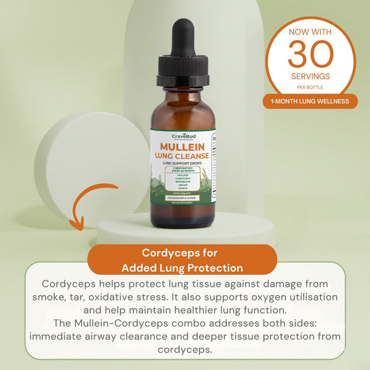 Natural Daily Lung Support Mullein Drops - Formulated For Smokers
