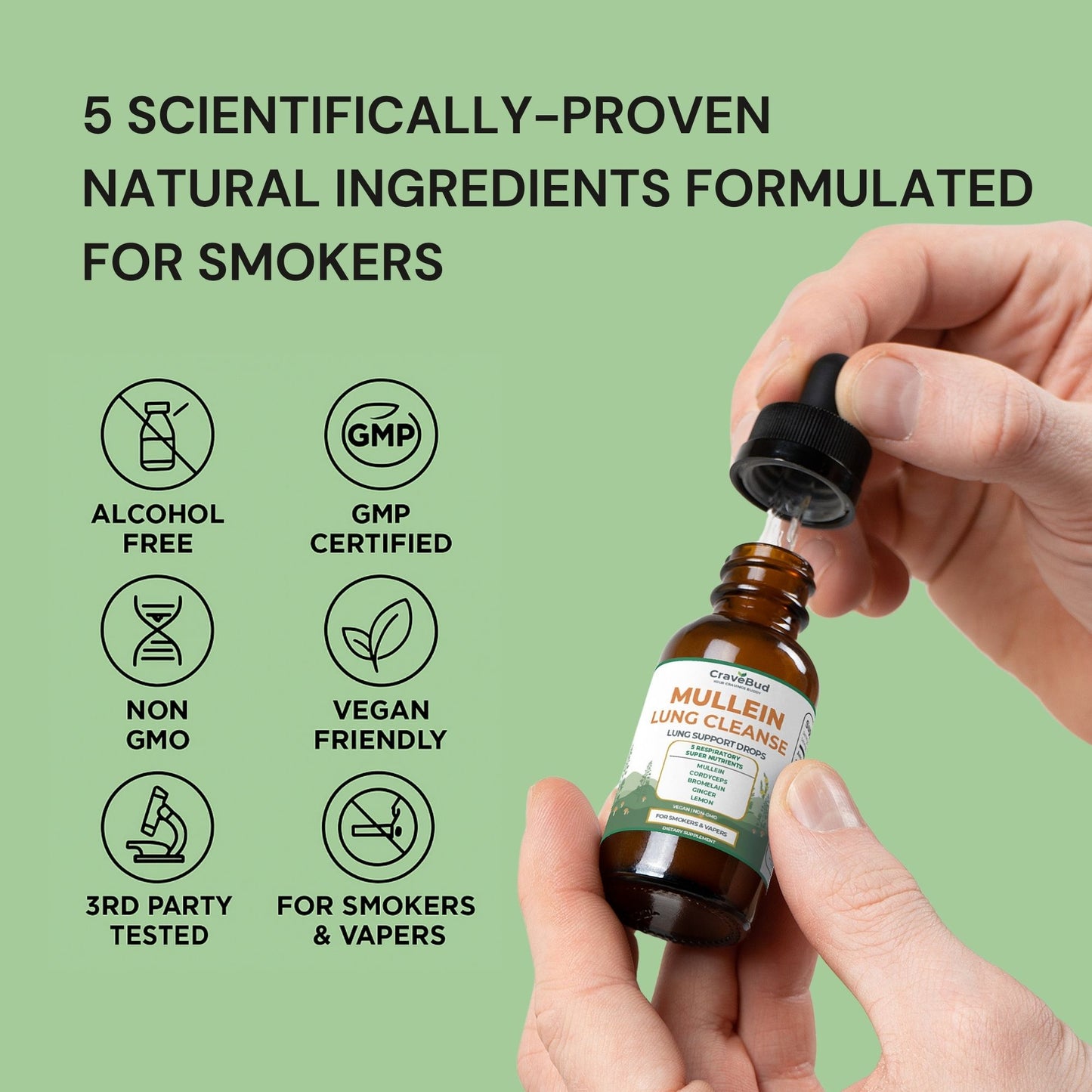 Natural Daily Lung Support Mullein Drops - Formulated For Smokers