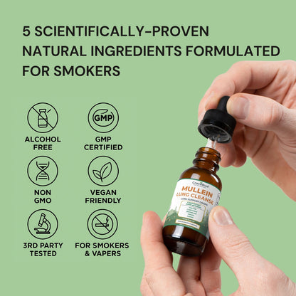 Natural Daily Lung Support Mullein Drops - Formulated For Smokers