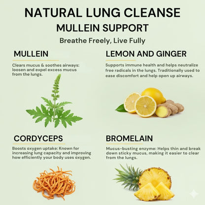 Natural Daily Lung Support Mullein Drops - Formulated For Smokers