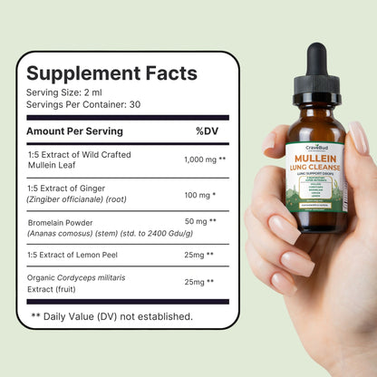 Natural Daily Lung Support Mullein Drops - Formulated For Smokers