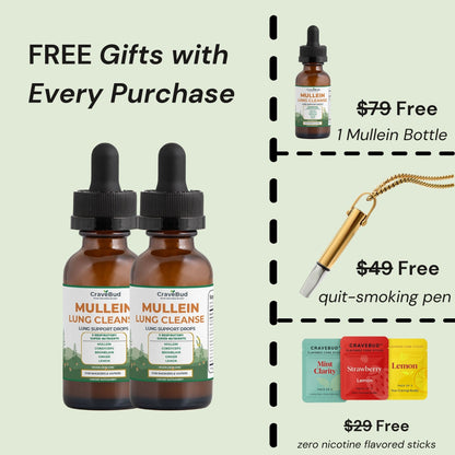 Natural Daily Lung Support Mullein Drops - Formulated For Smokers